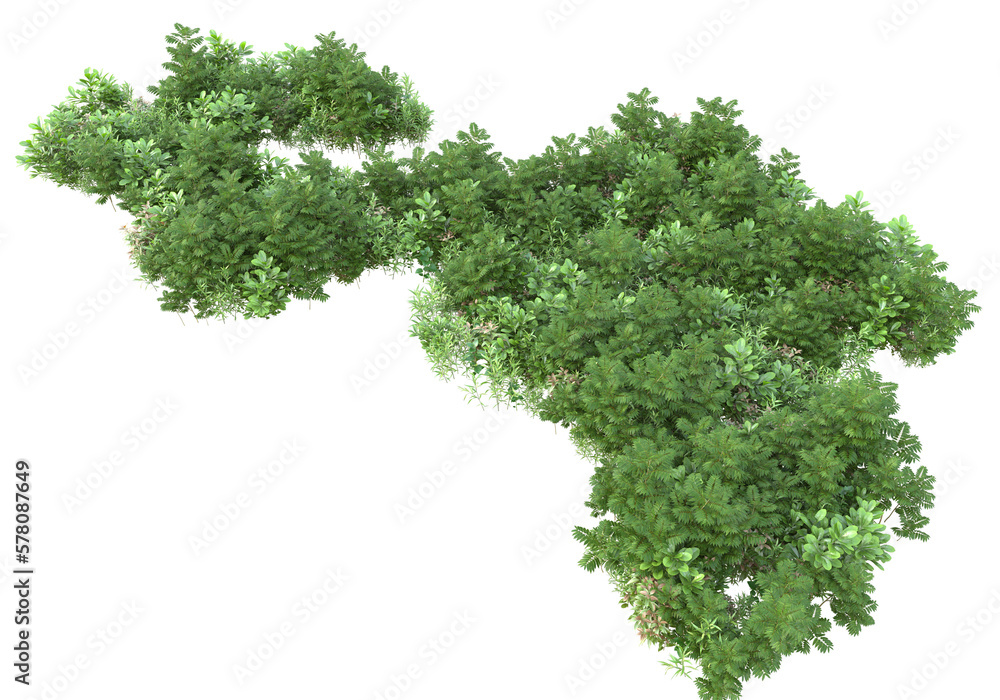 Obraz premium Field of plants isolated on transparent background. 3d rendering - illustration