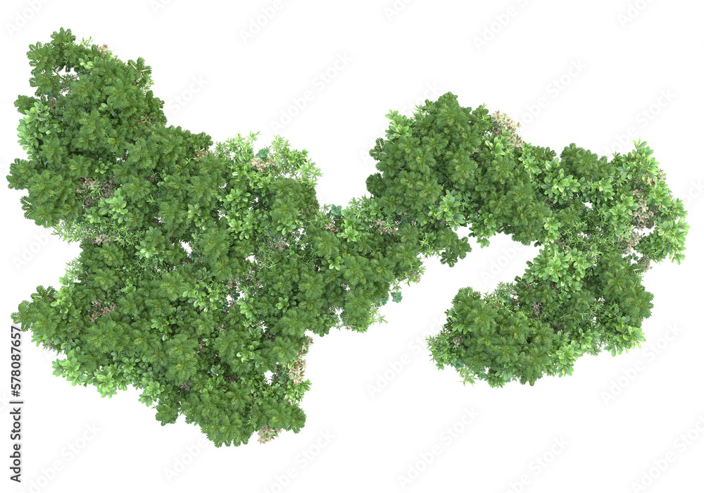 Obraz premium Field of plants isolated on transparent background. 3d rendering - illustration