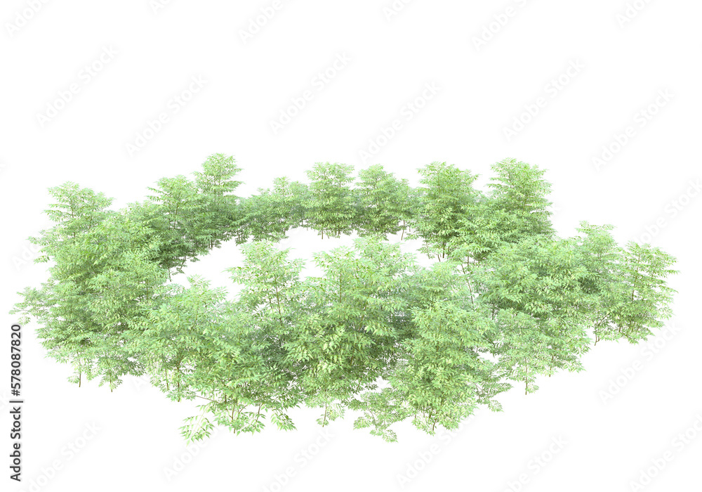 Obraz premium Field of plants isolated on transparent background. 3d rendering - illustration