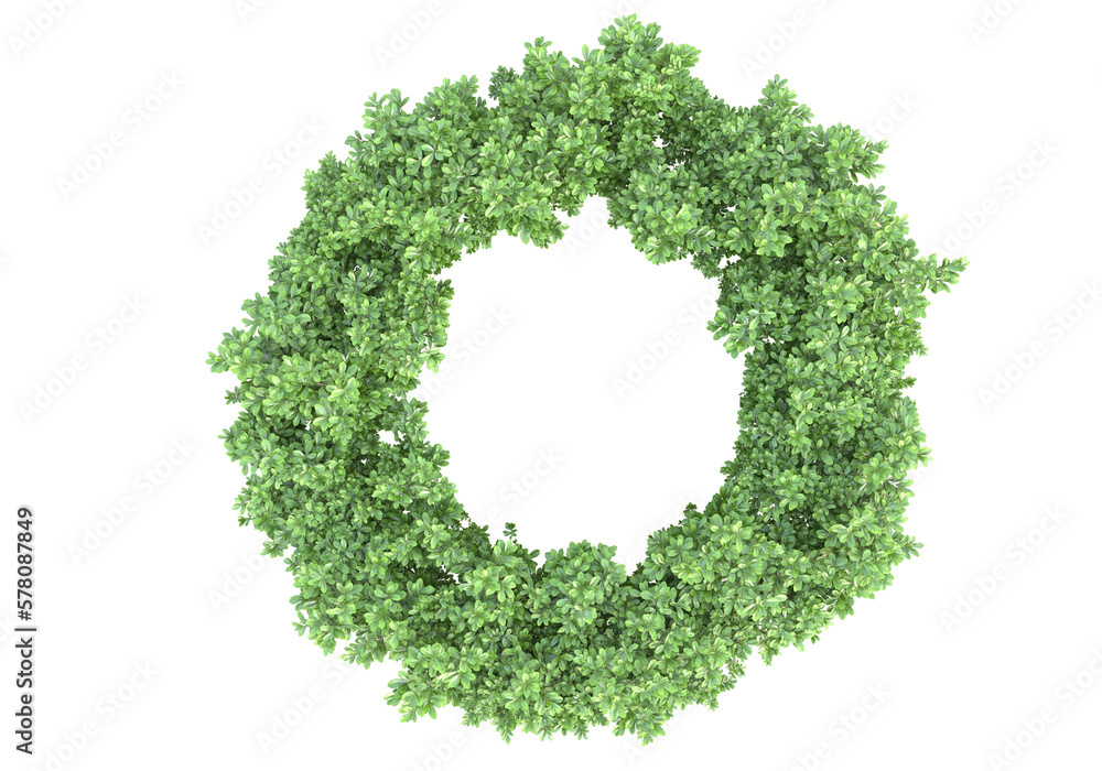 Field of plants isolated on transparent background. 3d rendering - illustration Field of plants isolated on transparent background. 3d rendering - illustration