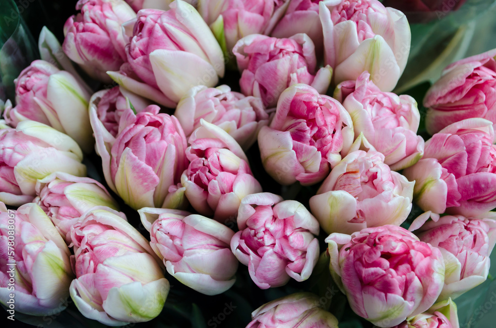 Bouquet of fresh pink tulips on a light blurred background. Bouquet of fresh pink tulips on a light blurred background.