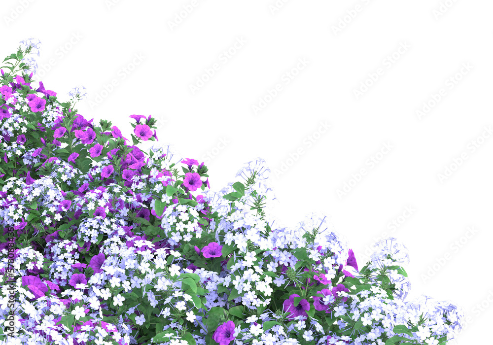 Field of plants isolated on transparent background. 3d rendering - illustration