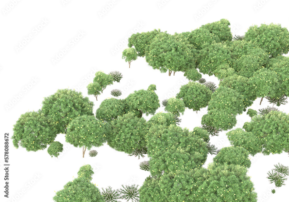 Field of grass with flowers isolated on transparent background. 3d rendering - illustration Field of grass with flowers isolated on transparent background. 3d rendering - illustration