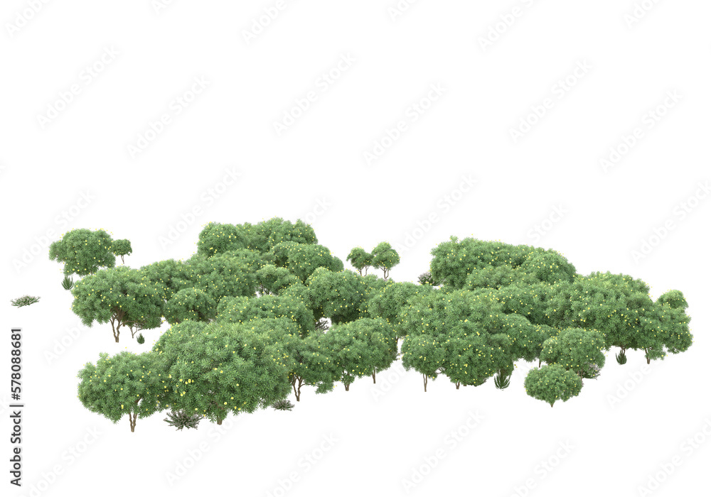 Obraz premium Field of grass with flowers isolated on transparent background. 3d rendering - illustration