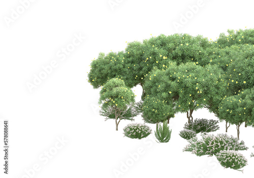 Field of grass with flowers isolated on transparent background. 3d rendering - illustration