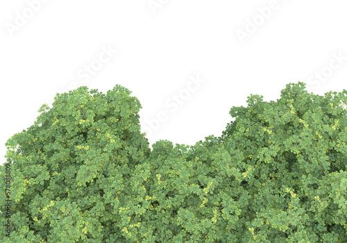 Field of grass with flowers isolated on transparent background. 3d rendering - illustration