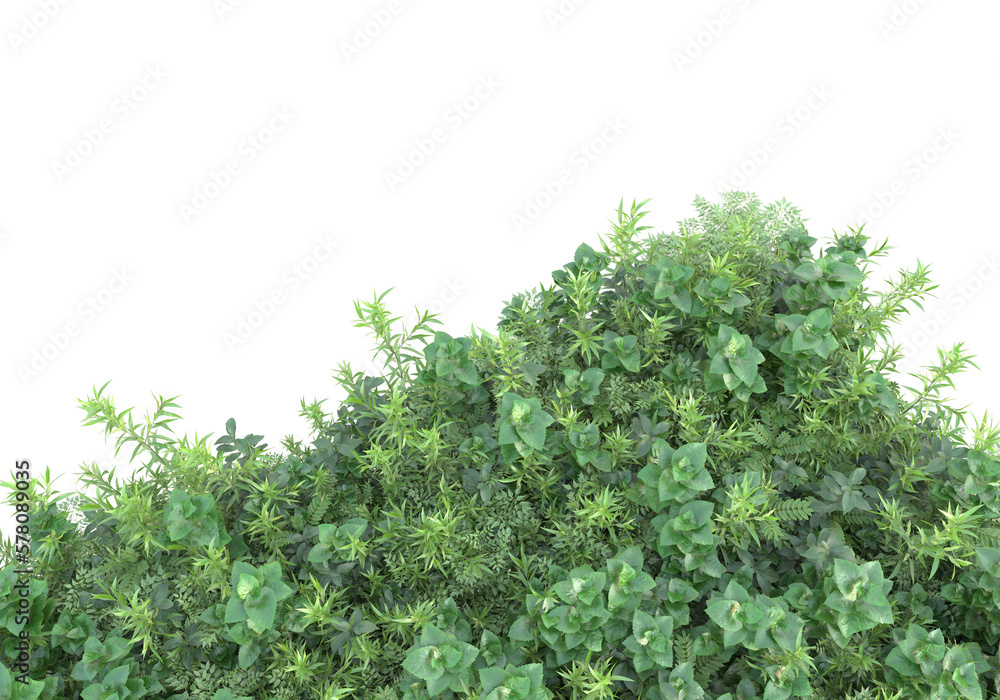 Field of foliage isolated on transparent background. 3d rendering - illustration Field of foliage isolated on transparent background. 3d rendering - illustration