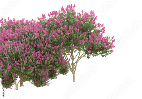 Field of foliage isolated on transparent background. 3d rendering -