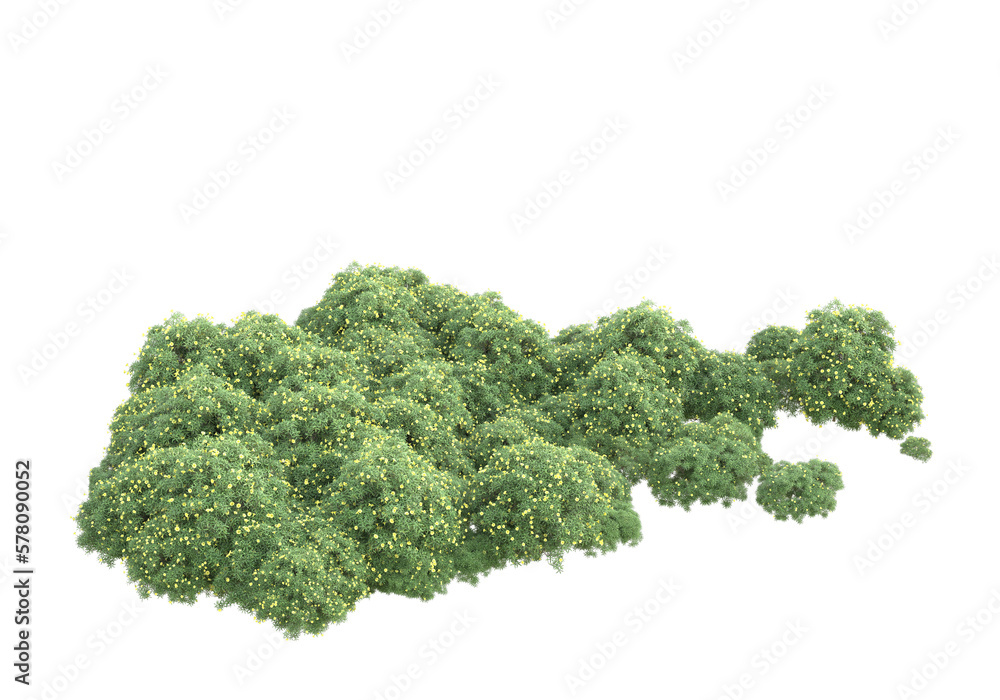 Obraz premium Field of grass isolated on transparent background. 3d rendering - illustration