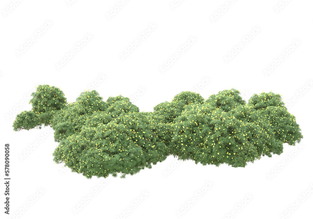 Field of grass isolated on transparent background. 3d rendering - illustration Field of grass isolated on transparent background. 3d rendering - illustration