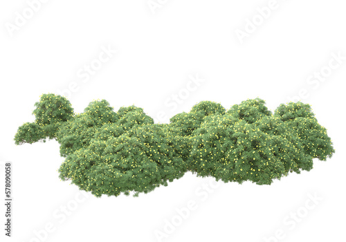 Field of grass isolated on transparent background. 3d rendering - illustration