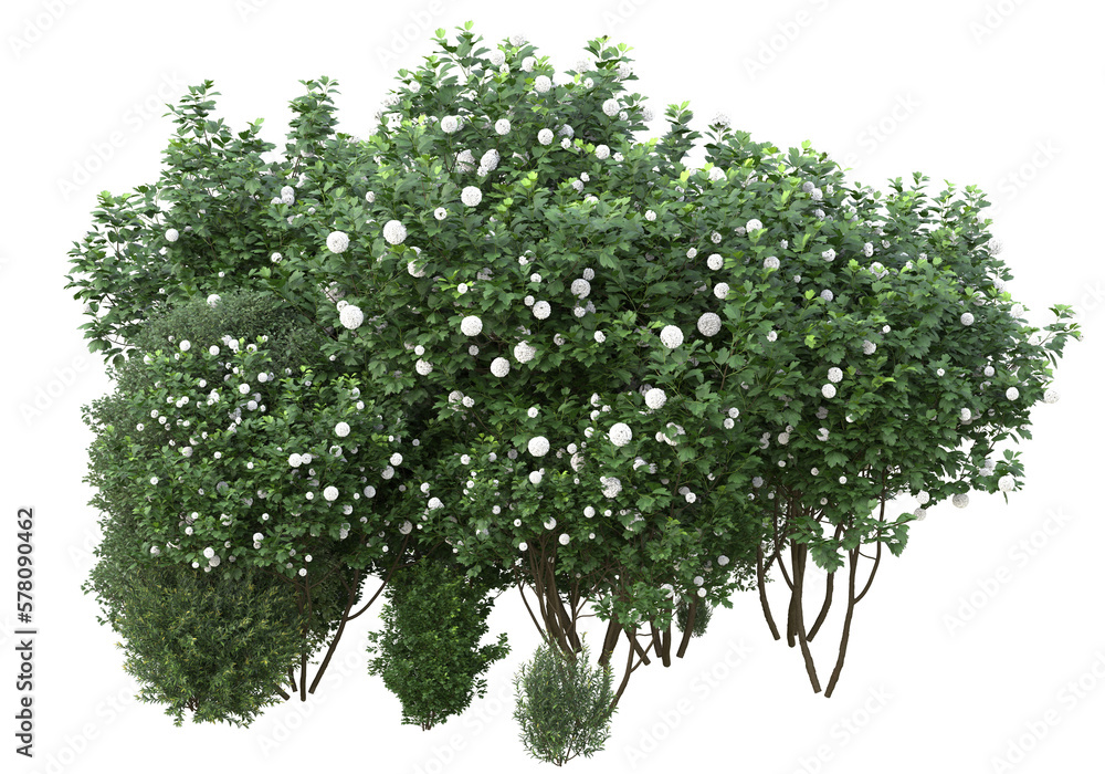 Field of grass isolated on transparent background. 3d rendering - illustration Field of grass isolated on transparent background. 3d rendering - illustration