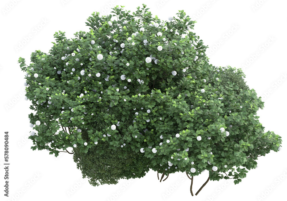 Field of grass isolated on transparent background. 3d rendering - illustration Field of grass isolated on transparent background. 3d rendering - illustration