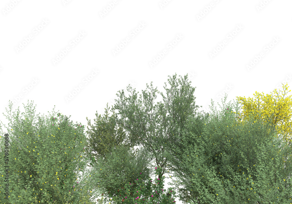 Fototapeta premium Field of grass isolated on transparent background. 3d rendering - illustration