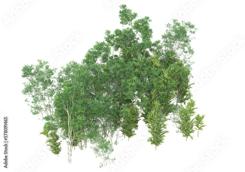 Tall plants on transparent background. 3d rendering - illustration