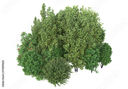 Foliage isolated on transparent background. 3d rendering - illustration