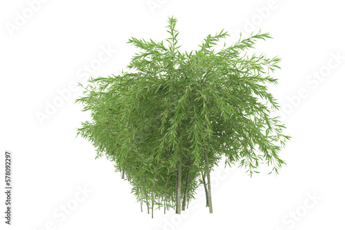 Foliage isolated on transparent background. 3d rendering - illustration