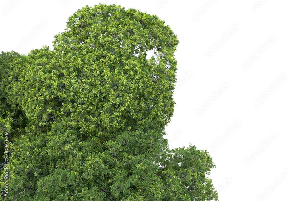 Realistic forest island on transparent background. 3d rendering - illustration Realistic forest island on transparent background. 3d rendering - illustration