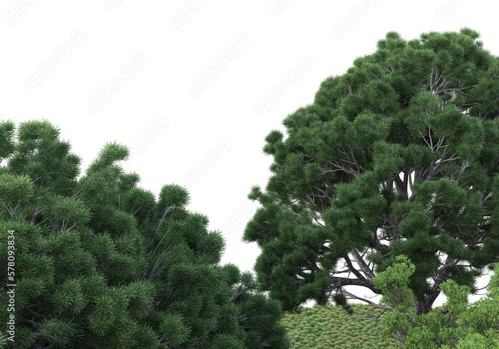 Realistic forest island on transparent background. 3d rendering - illustration Realistic forest island on transparent background. 3d rendering - illustration