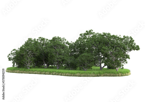 Realistic forest island on transparent background. 3d rendering - illustration