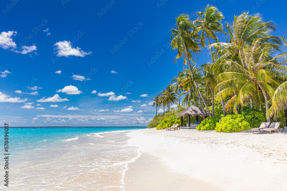 Closeup sea sand palm trees beach. Panoramic island landscape. Inspire tropical coast sea bay horizon. Sunny blue sky, calm tranquil relax summer vacation travel holiday background. Freedom nature