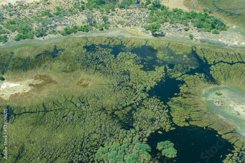 Areal shot of Moreni Okowango Delta in Botswana