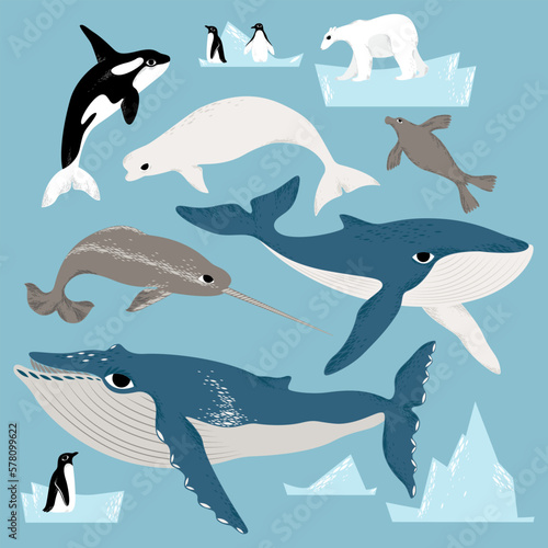 vector illustration with arctic animals