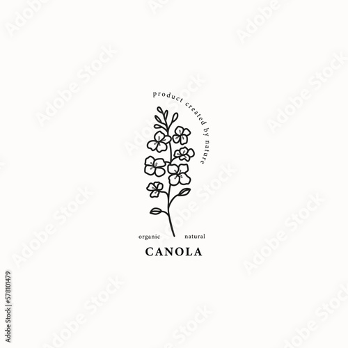 Line art canola or rapeseed plant illustration