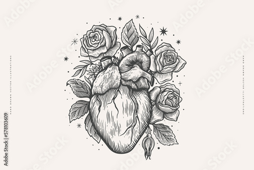 Human heart surrounded by roses in engraving style. Vintage symbol of love on a light background. Vintage vector illustration for postcard, book or tattoo design.