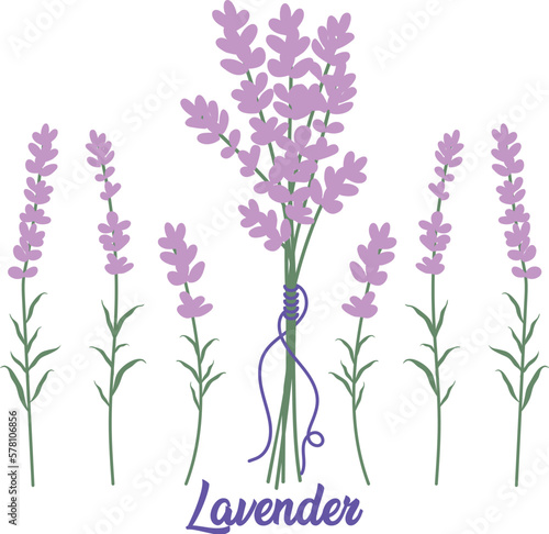 lavender flowers in vase