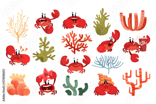 Funny smiling crab characters set. Cute crustacean creatures with big claws and seaweeds vector