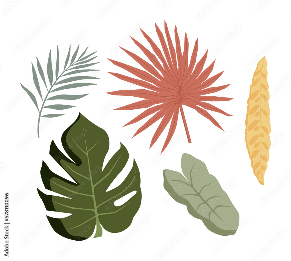 Tropical plants. Monstera and palm jungle leaves, green exotic foliage, decorative natural plant collection. Tropical plants. Monstera and palm jungle leaves, green exotic foliage, decorative natural plant collection.