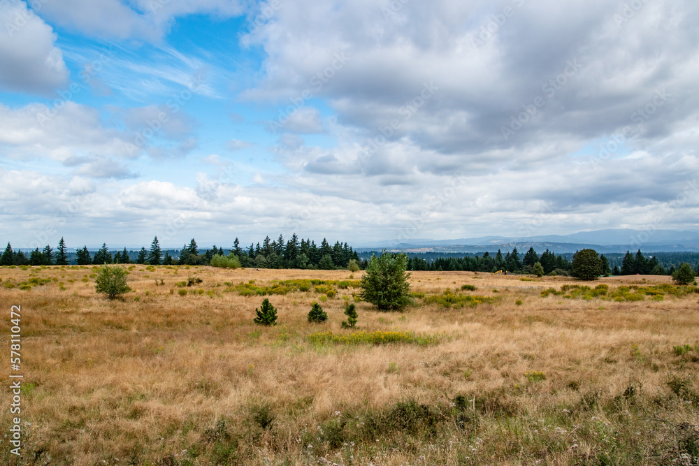 Dry Meadow in Powell Butte Park in East Portland, OR Dry Meadow in Powell Butte Park in East Portland, OR