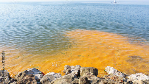 Orange planktons on blue sea. photo