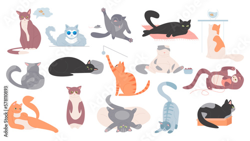 Fototapeta Naklejka Na Ścianę i Meble -  Cute cats set vector illustration. Cartoon funny pet with different action and poses collection, happy animals sleep and sit in box, lying fluffy kitty with amusing face, stretching and playing kitten