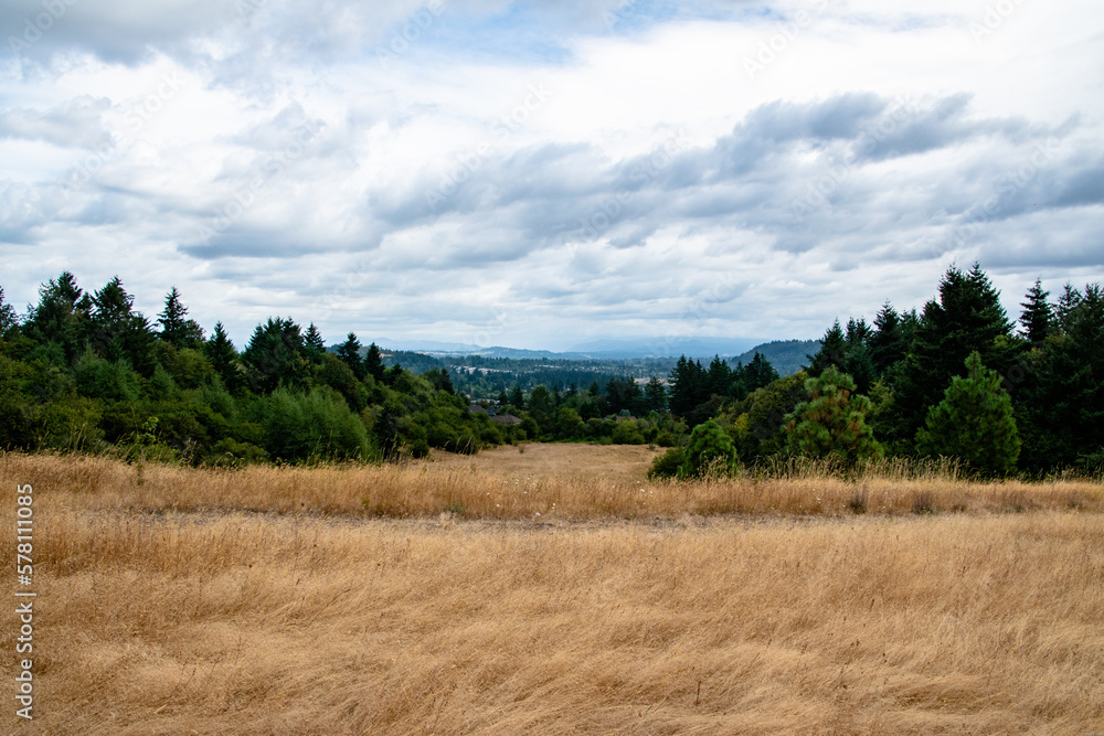 Meadow and Viewpoint of Oregon from Powell Butte Park in East Portland, OR on Cloudy Day
