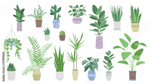 Valokuva Green plants for house decoration set vector illustration
