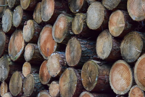 stack of wood