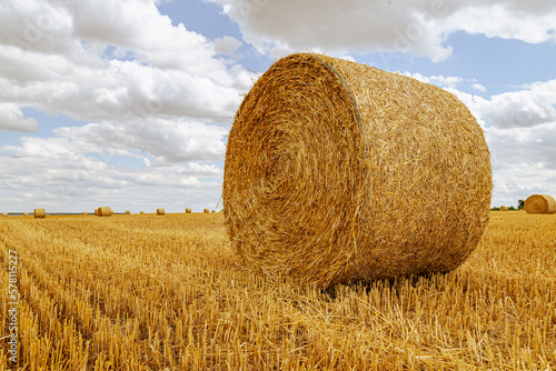 Closeup of a Yellow Round Straw Bale agricultural of farm farmland background. Copy space fro your text.