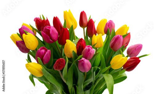 Pink  yeelow and violet tulips flowers