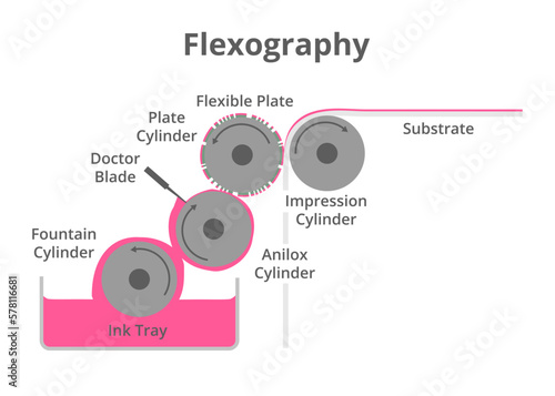 Vector schematic illustration of flexographic printing technique isolated on a white background. Flexo printing press or machine, flexography. Fountain, anilox, plate, and impression cylinders.