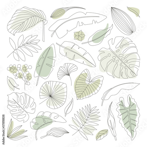 Tropical plant line art set. Doodle sketch art of monstera and philodendron leaves, exotic flowers, tropical tree