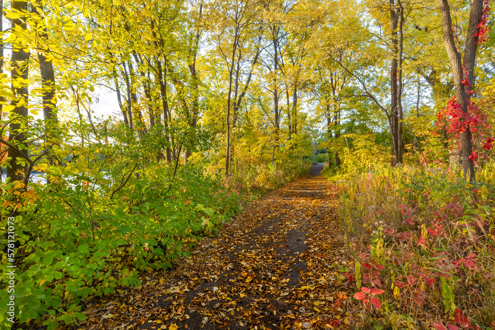 Fototapeta premium Beautiful park walking path in colorful fall autumn foliage
