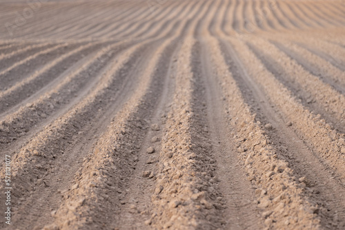 A large plowed agricultural field. The endless ranks of the beds are ready for the growth of the new crop