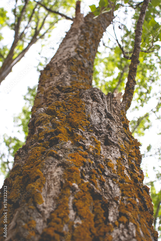 Naturaleza Naturaleza
