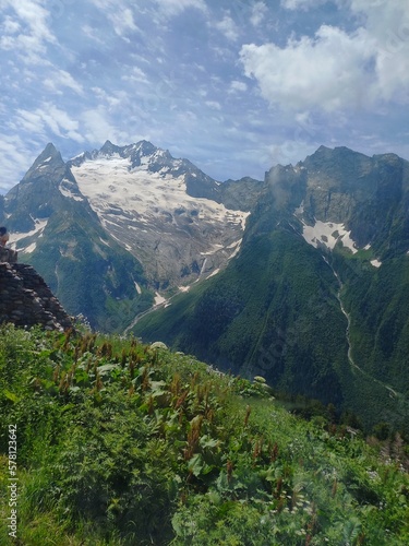 mountains and forest blue sky 