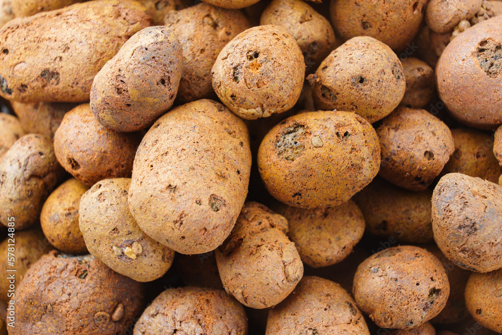 Expanded clay. small lumps of clay used in construction and for growing plants. Expanded clay. small lumps of clay used in construction and for growing plants.