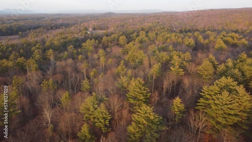 drone flyer of forest 