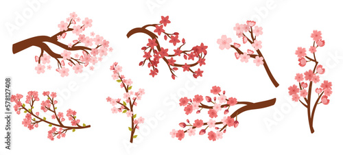 Set of Sakura Cherry Branches With Pink Blooming Flowers Isolated On White Background. Collection Of Spring Fruit Tree
