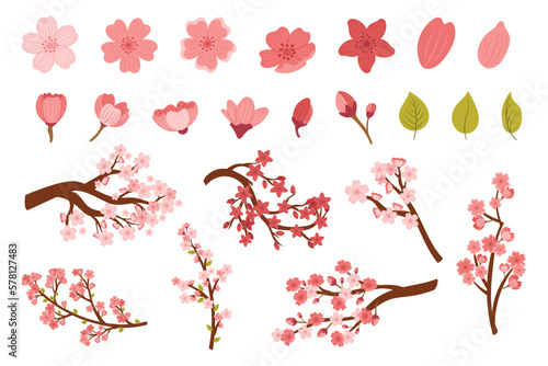 Set Of Sakura Cherry Flower Bloom Isolated On White Background. Pink Blossoms, Green Leaves And Branches Design Elements